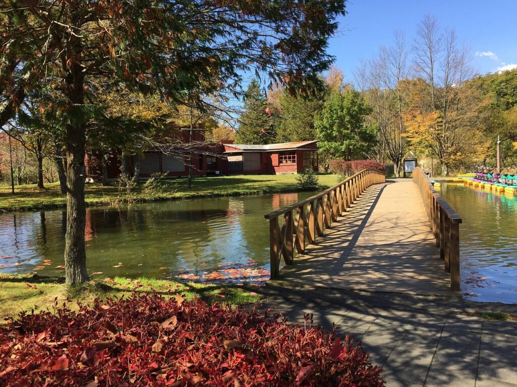 Photo de la ville de Karuizawa au Japon, lieu où Marianne Borgna-Fransioli expose entre avril et mai 2025
